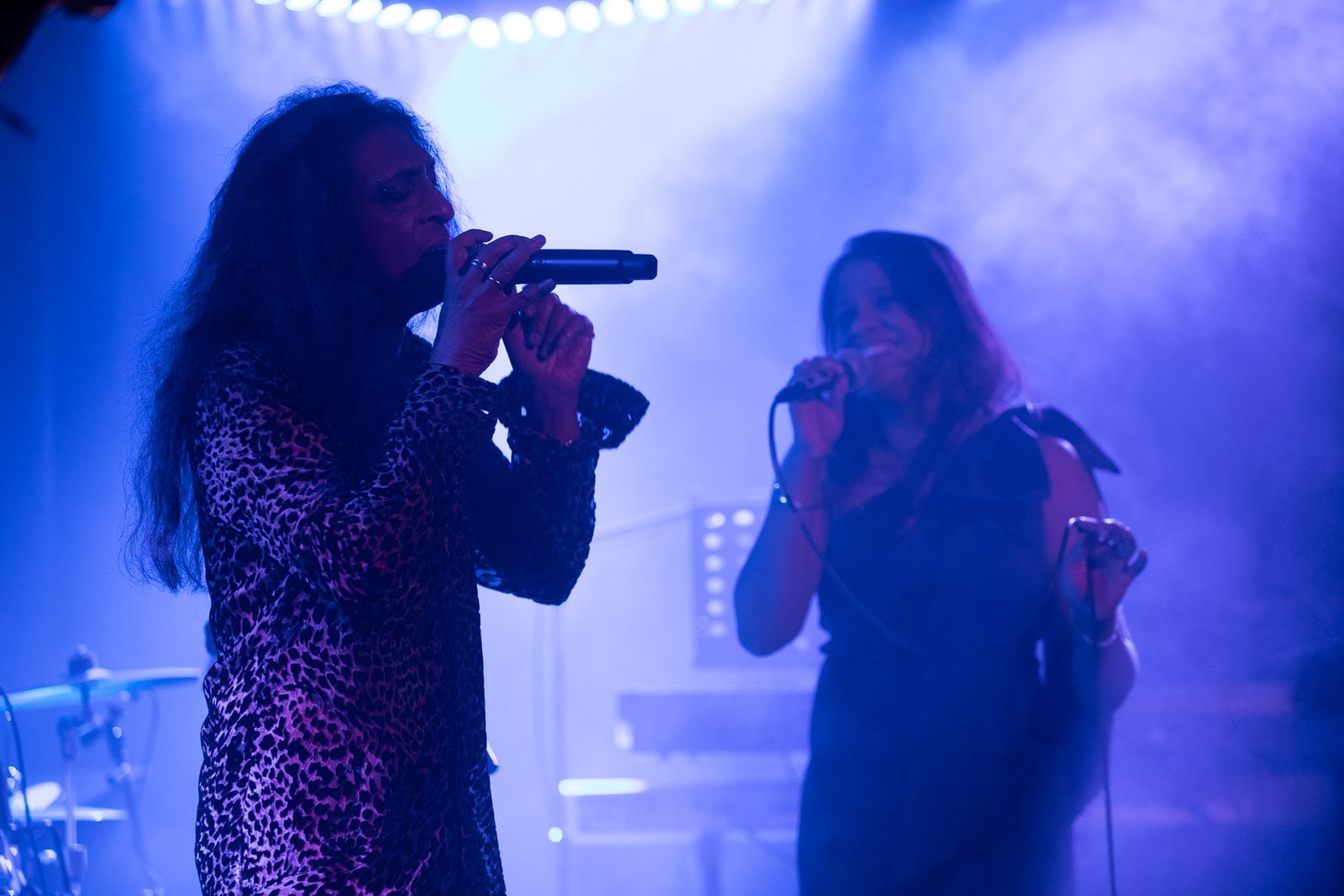 The Stockholm Session — photo 10