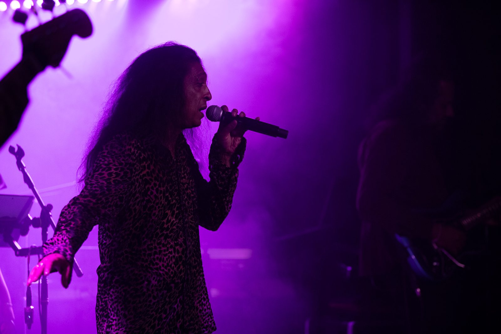 The Stockholm Session — photo 11